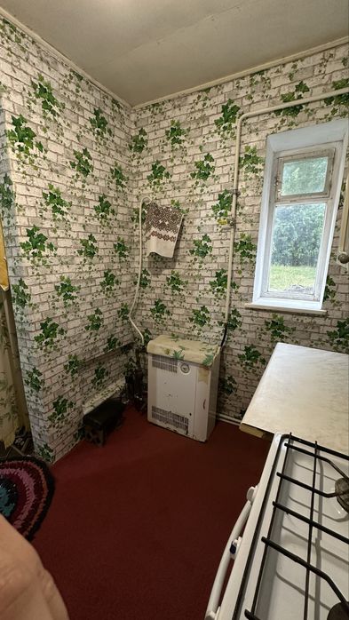 Продам будинок в селі Селище, Звенигородського р-у Черкаської обл