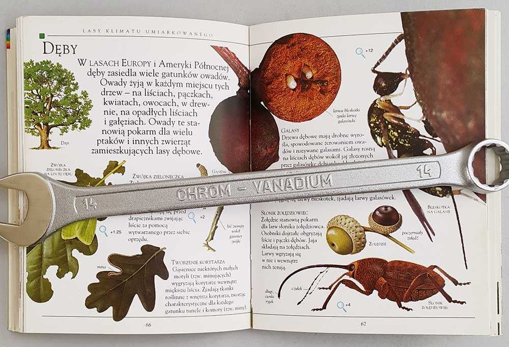 Owady Miniencyklopedia Owady kieszenie pełne wiedzy
