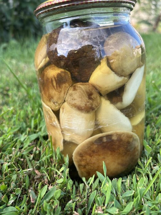 Білі гриби мариновані