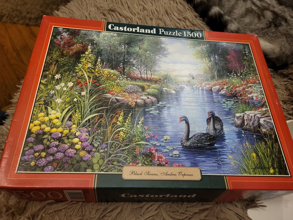 Вживані пазли 1500