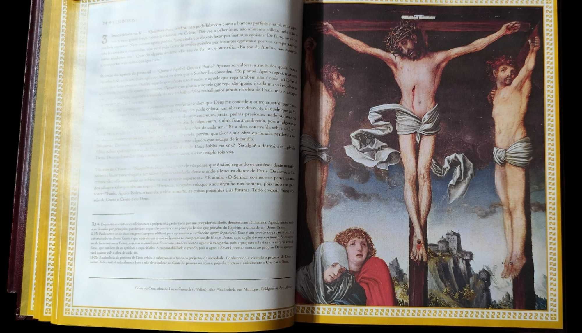 Bíblia Sagrada - 15 vol.