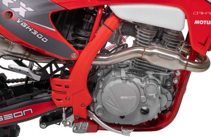 GEON TRX 300 YGH PRO, 2025  р. в.