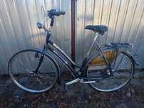 Rower holenderski Gazelle Royal Quality
