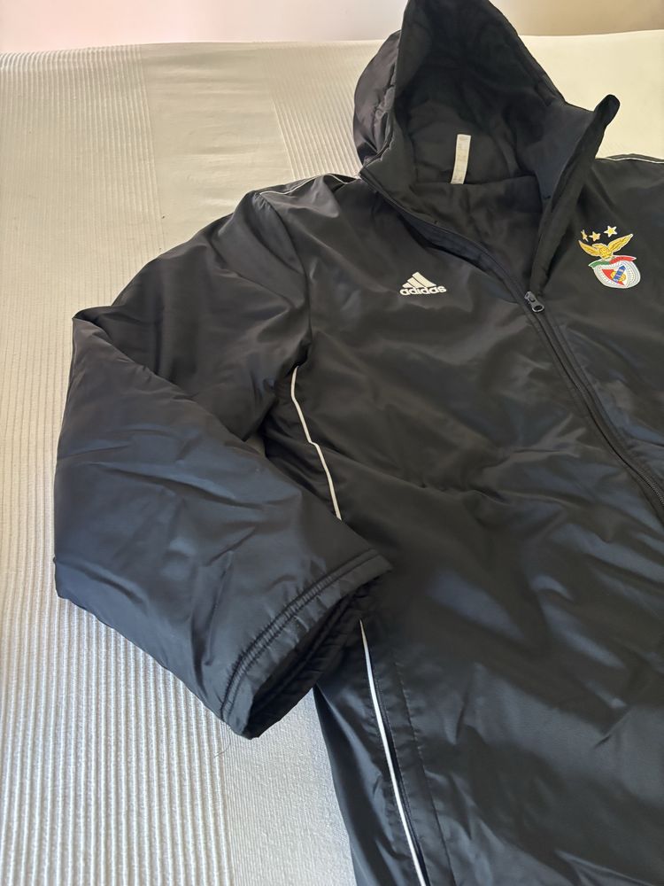 Casaco Adidas Benfica Original