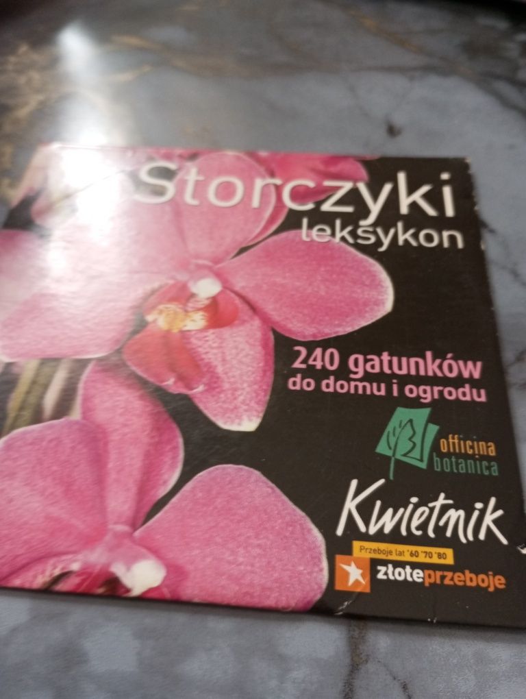 Płyta DVD storczyki