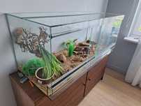 Terarium dla gadów wraz z akcesorami