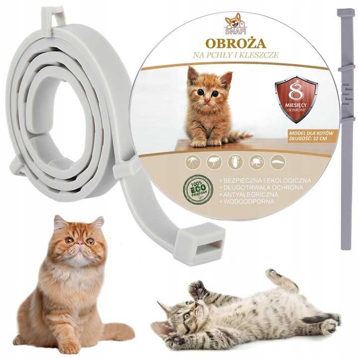 Obroża dla kota przeciw insektom