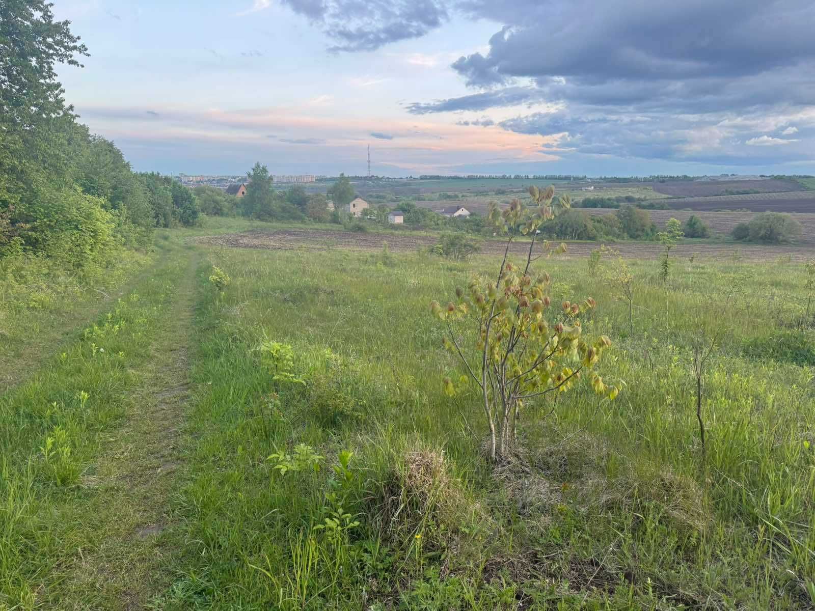 Земельна ділянка Лісові Гринівці. Мальовниче місце.