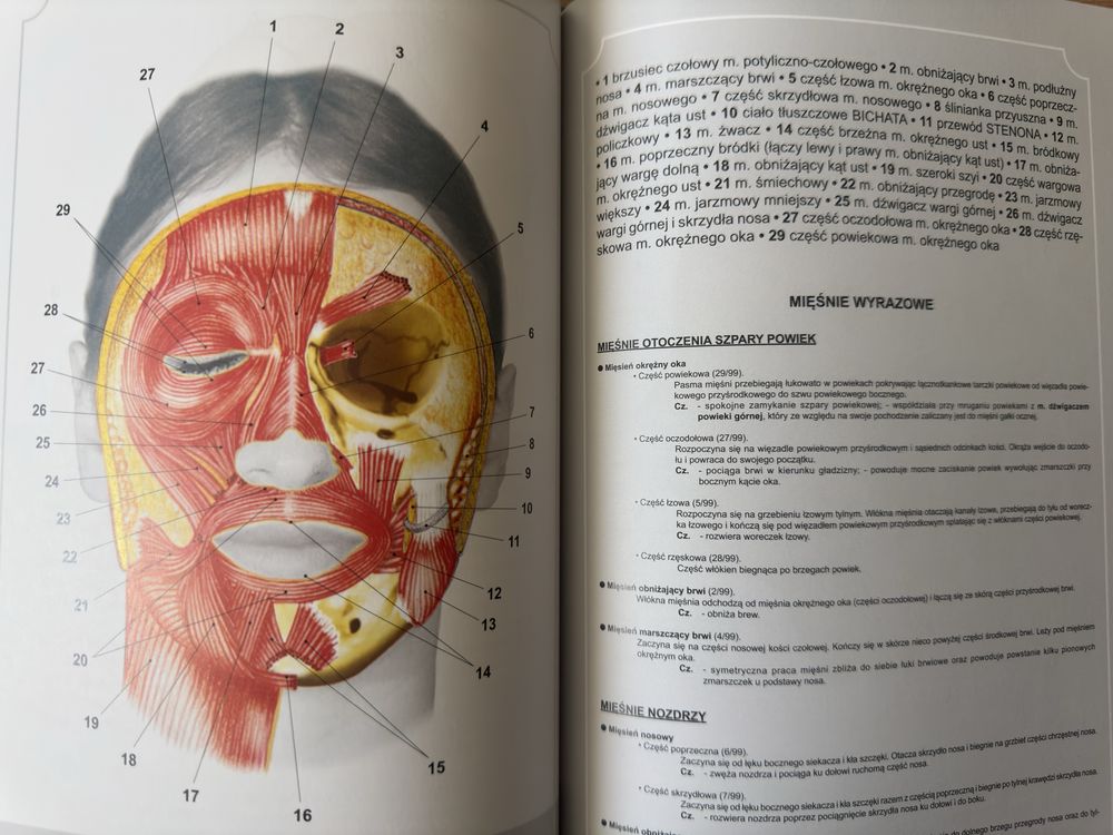 Atlas anatomii człowieka Adam Zborowski