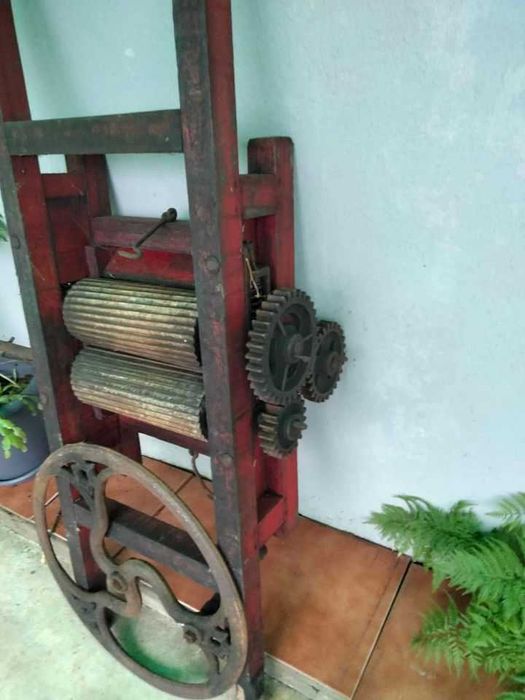 Espremedor / Relador de uvas