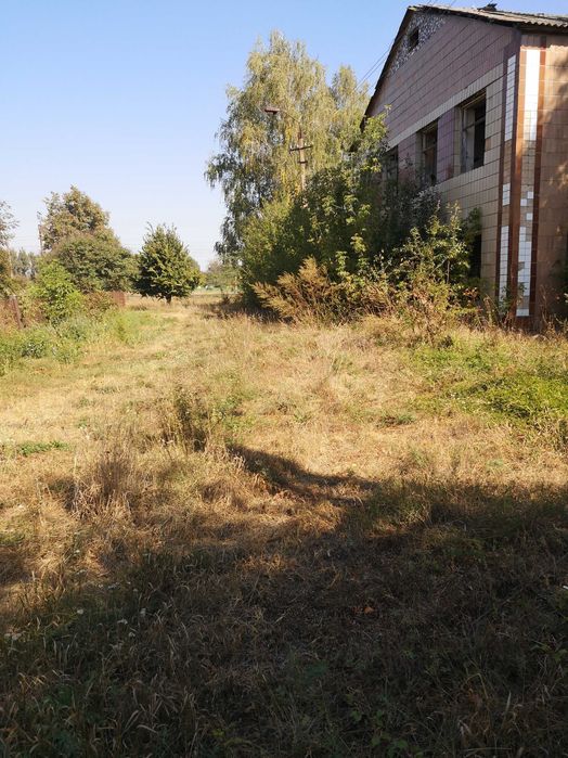 Комерційна нерухомість