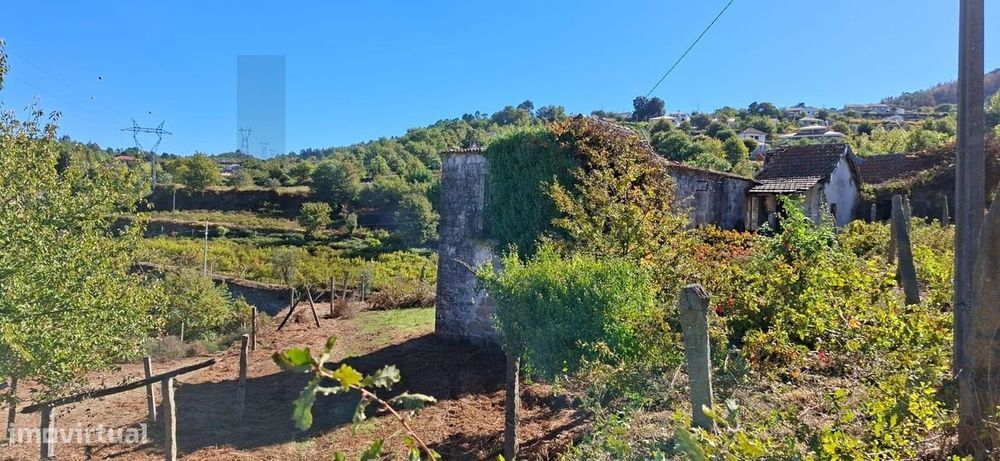 Quinta/Herdade em Tarouquela, Cinfães