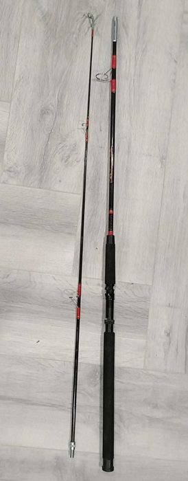 Cana de Pesca Zebco Z-Cast 300 Spin Action 3.00m