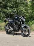 Yamaha FZ 25 2018