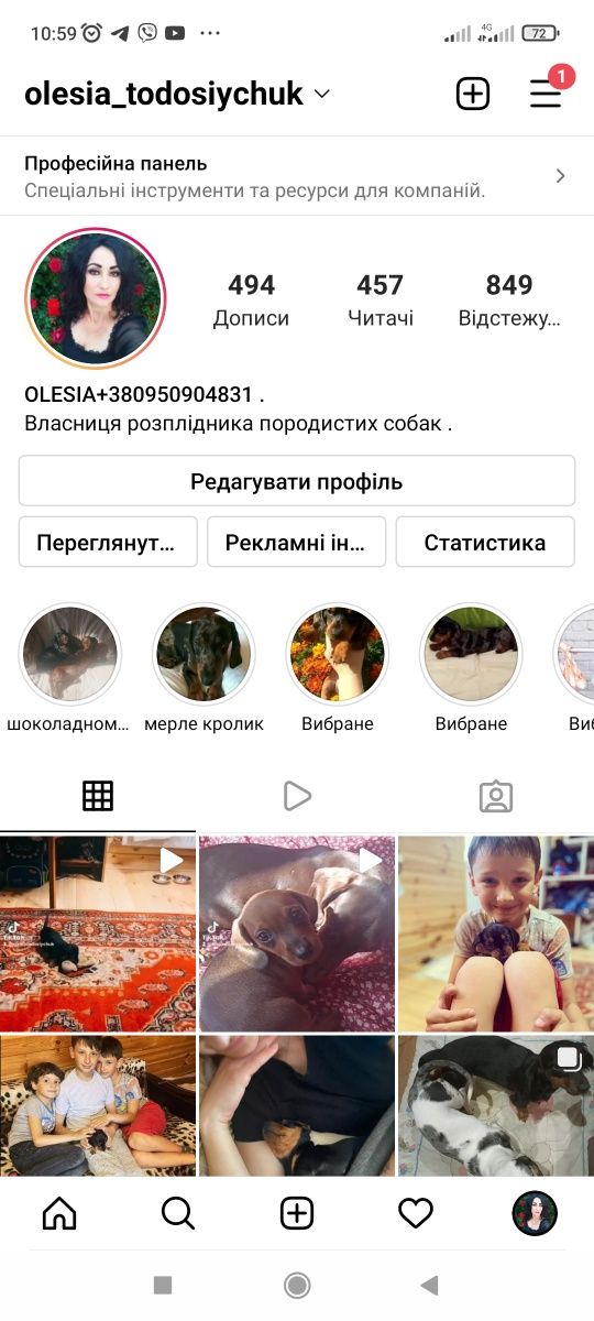 Рижо-шоколадна красуня шукає люблячу сім'ю