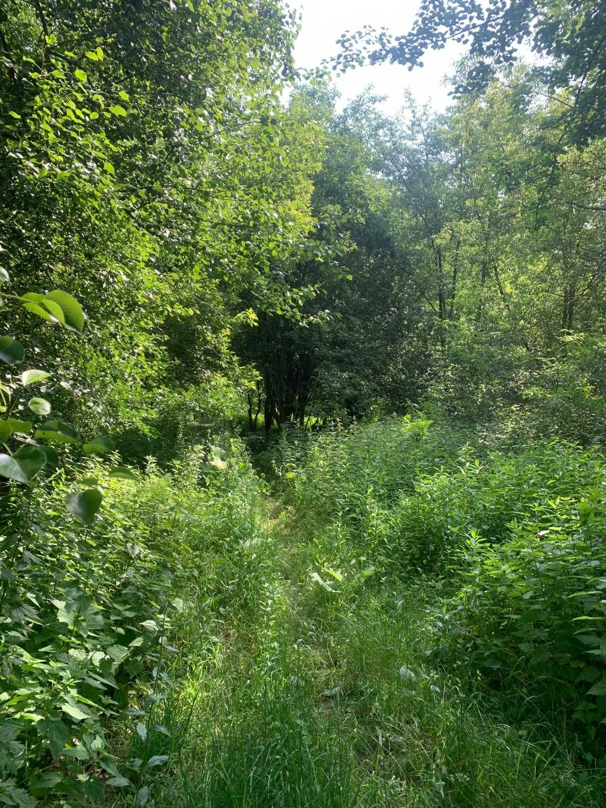 Działka z linią brzegową jeziora łacha, 2577 m2
