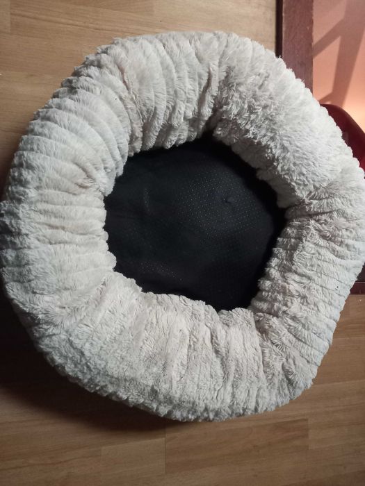 Cama de cão ou gato