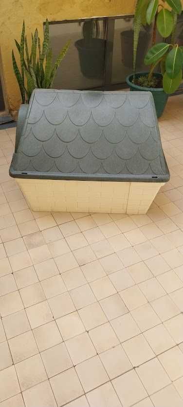 casota para cão no exterior