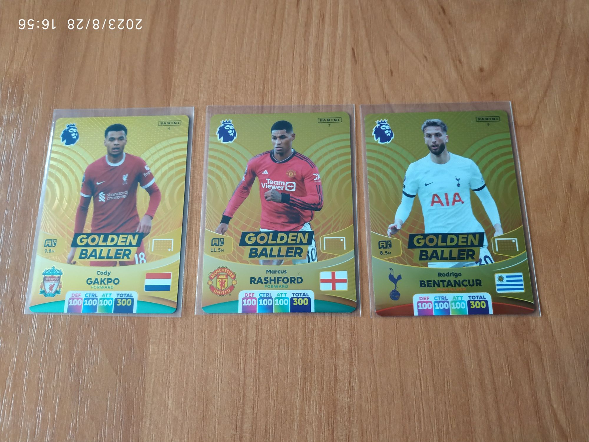 Zamienię karty z kolekcji Panini Premier League 2024