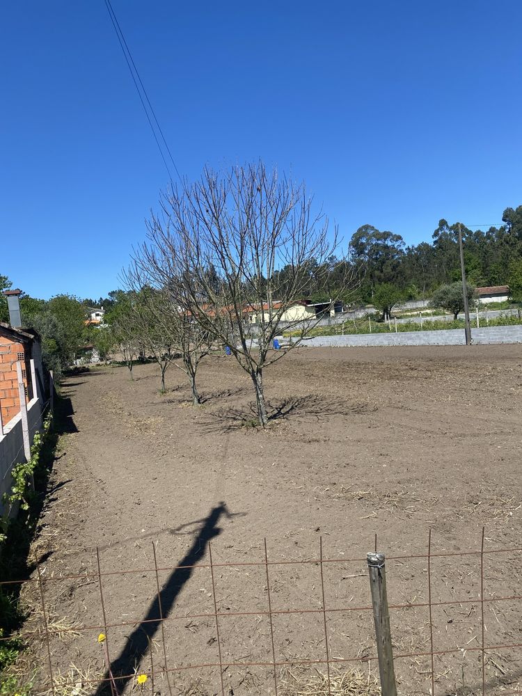 Terreno para construçao 1500m2