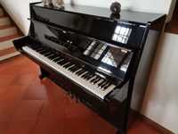 Piano Lippmann vertical