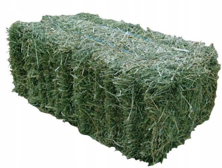 Siano karma pasza dla koń