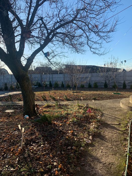 Продам дом, дачу. Волосское, Братское