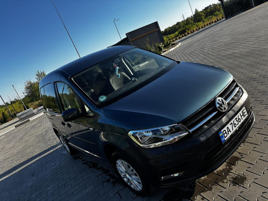 Кадди в идеально состоянии