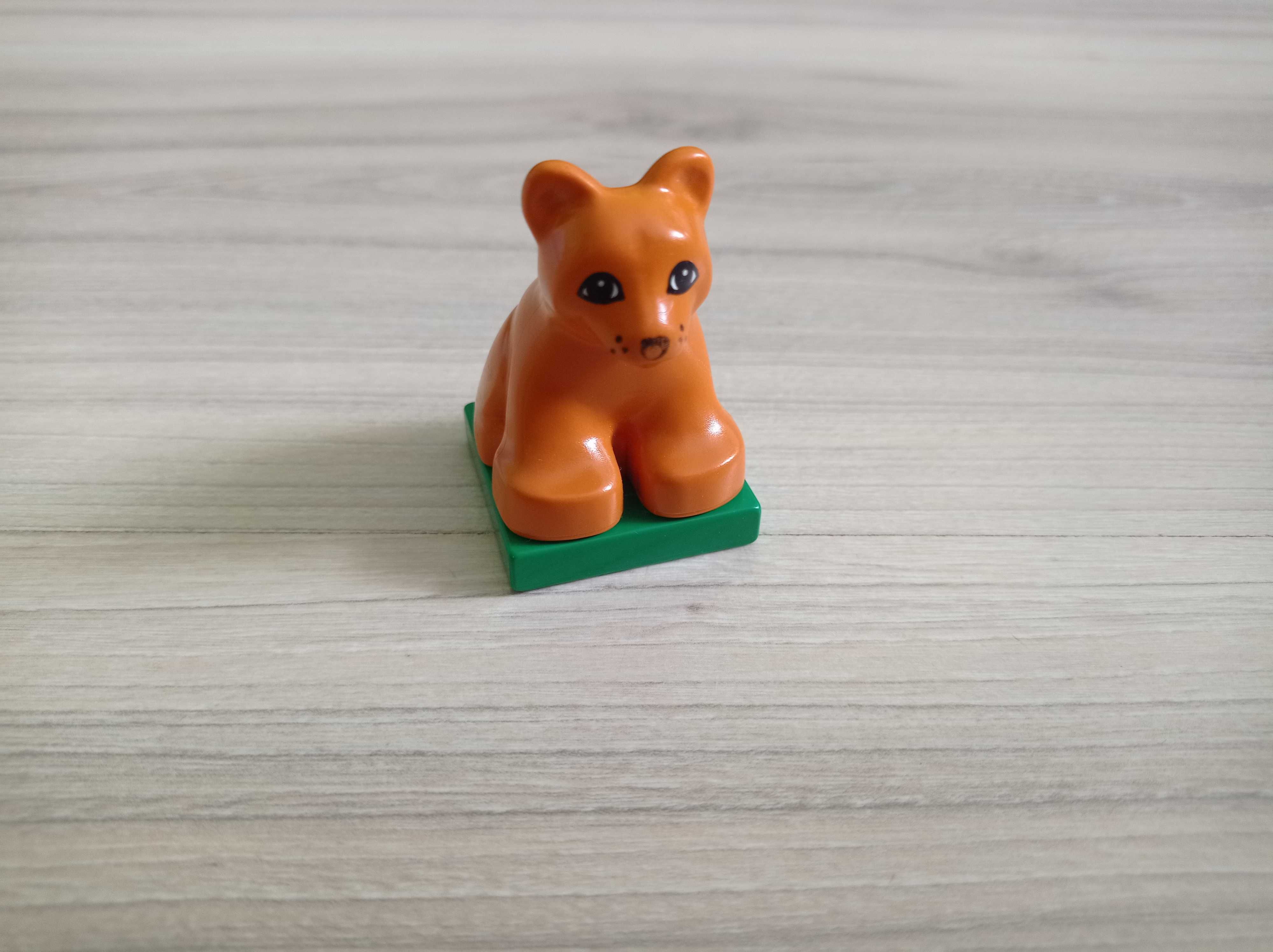 Lego Duplo zwierzęta - mały lew, lwiątko na podstawce (1)