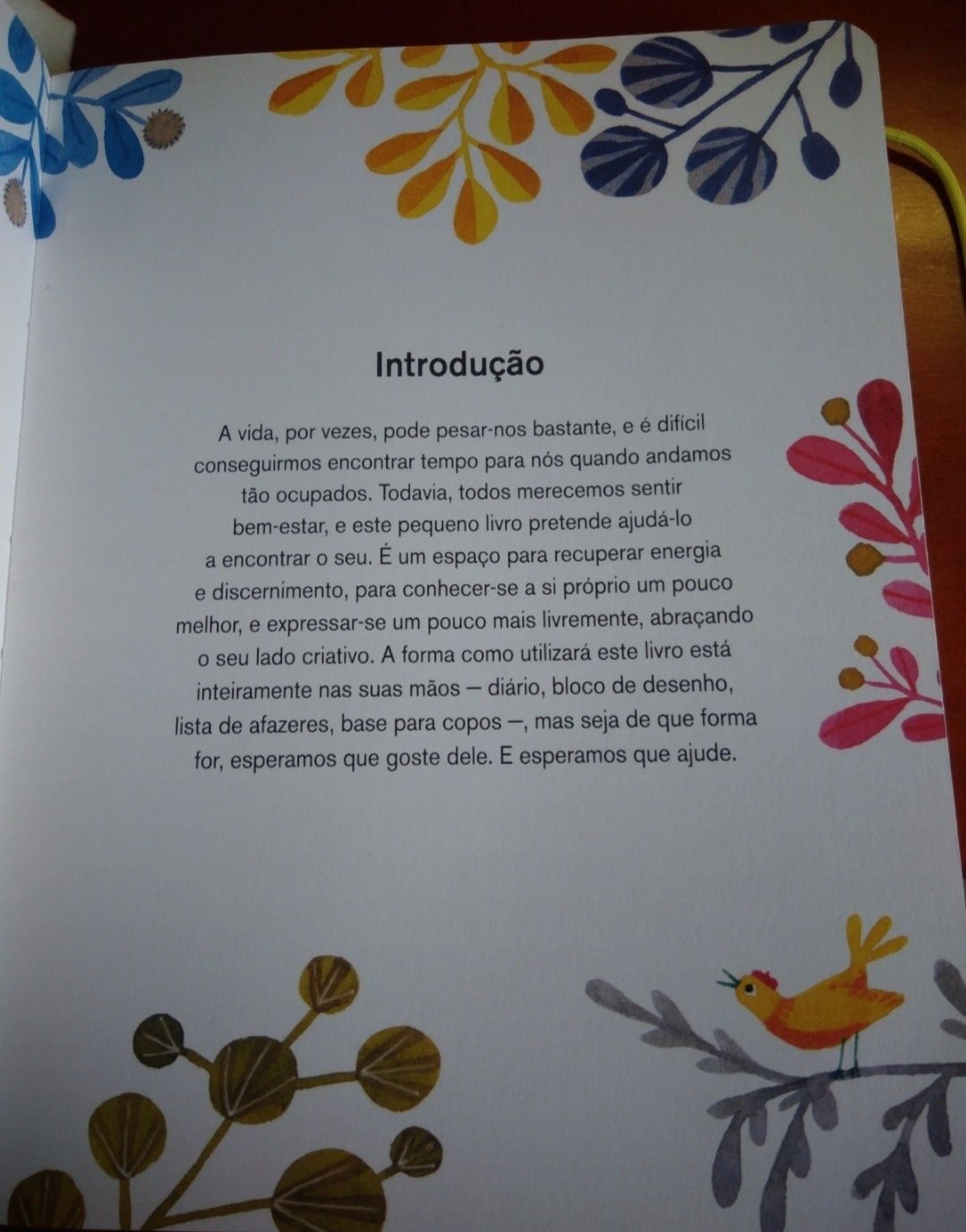 Livro do bem-estar