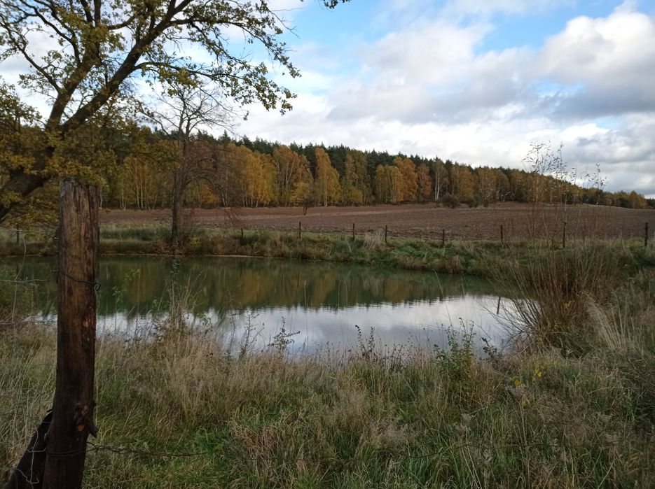 Sprzedam działkę rolną że stawem