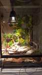 Terrarium nowe inne niż wszystkie