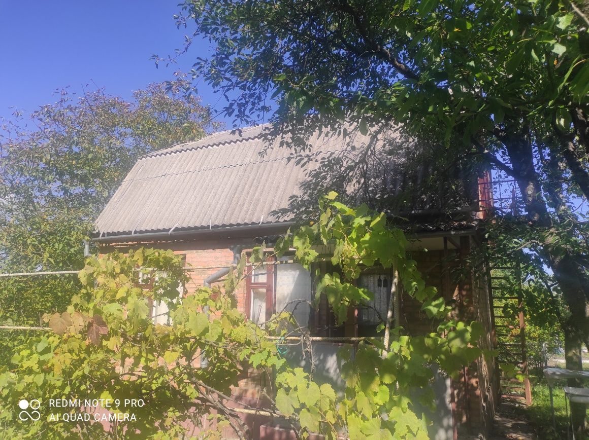 Продам дачу у масиві Надія