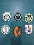 Emblemas Académicos * Cursos*