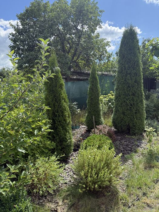 Дача Строитель. Кривуши. Собственник. Без комиссии.