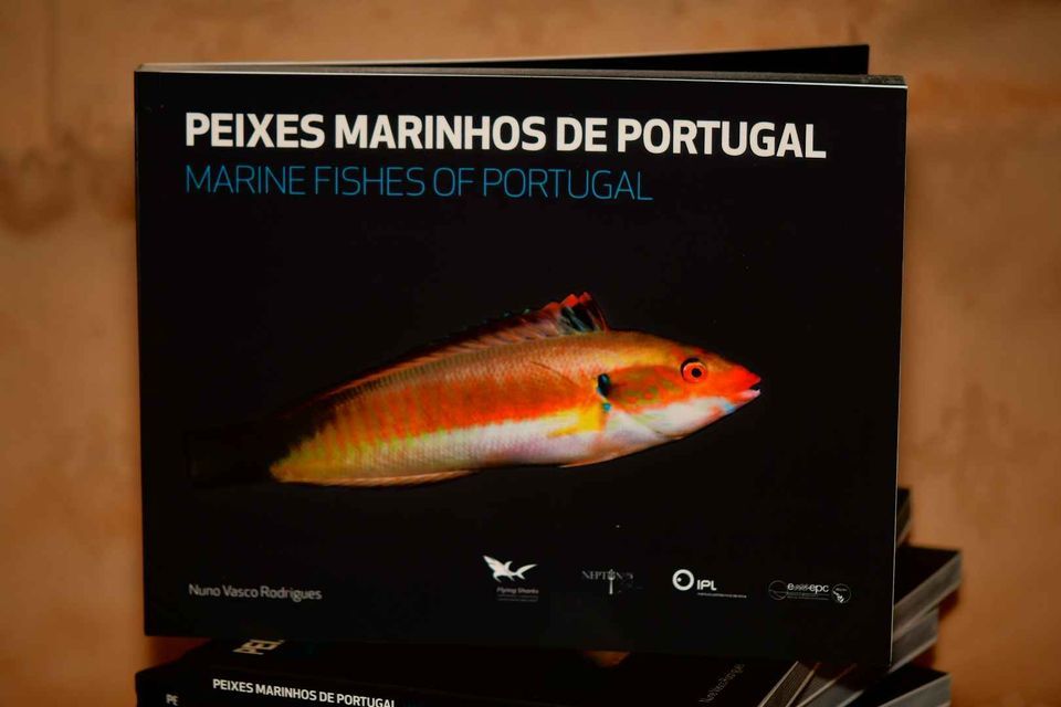 Livro Peixes Marinhos de Portugal