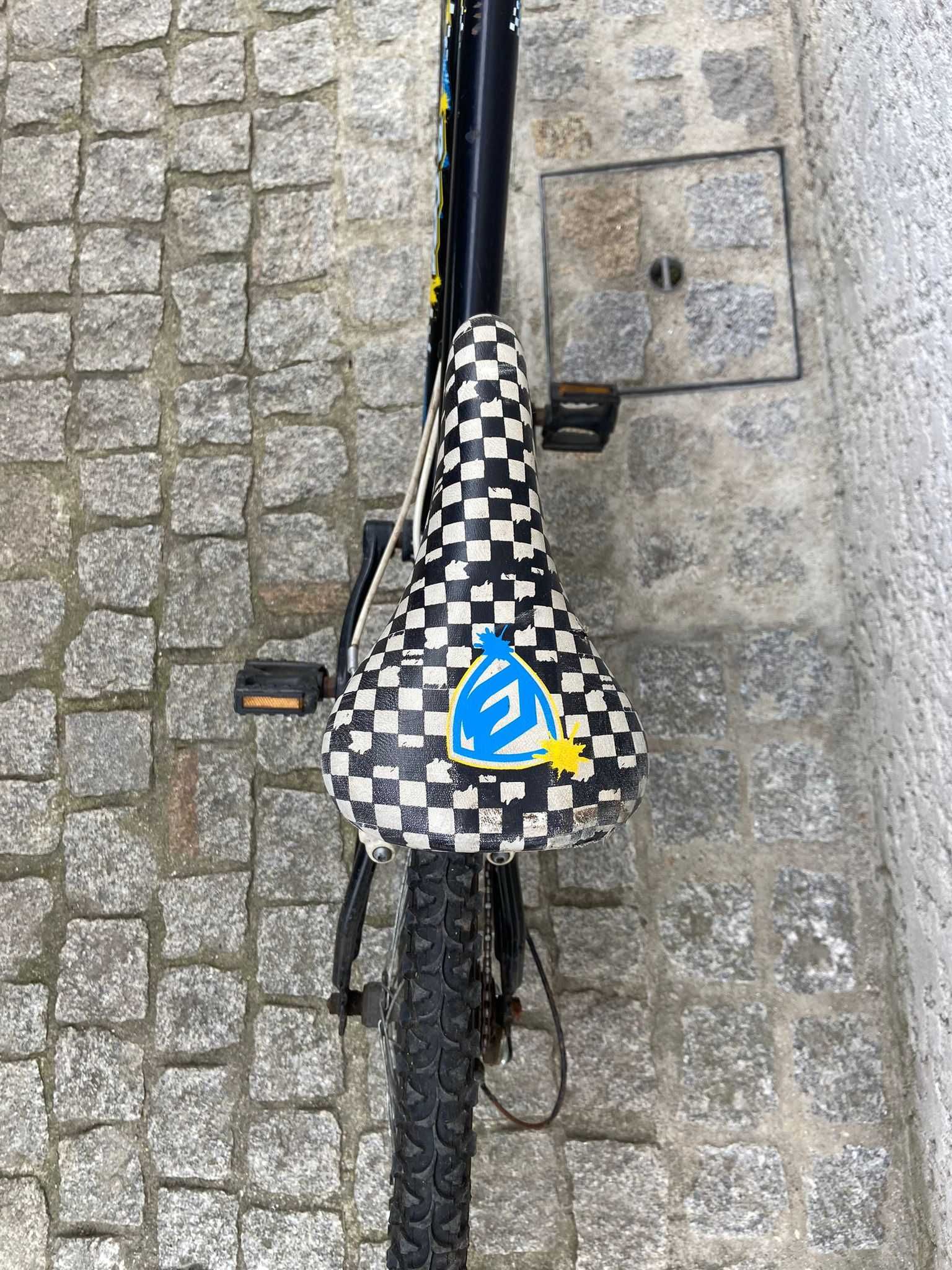 Bicicleta para jovem da Berg