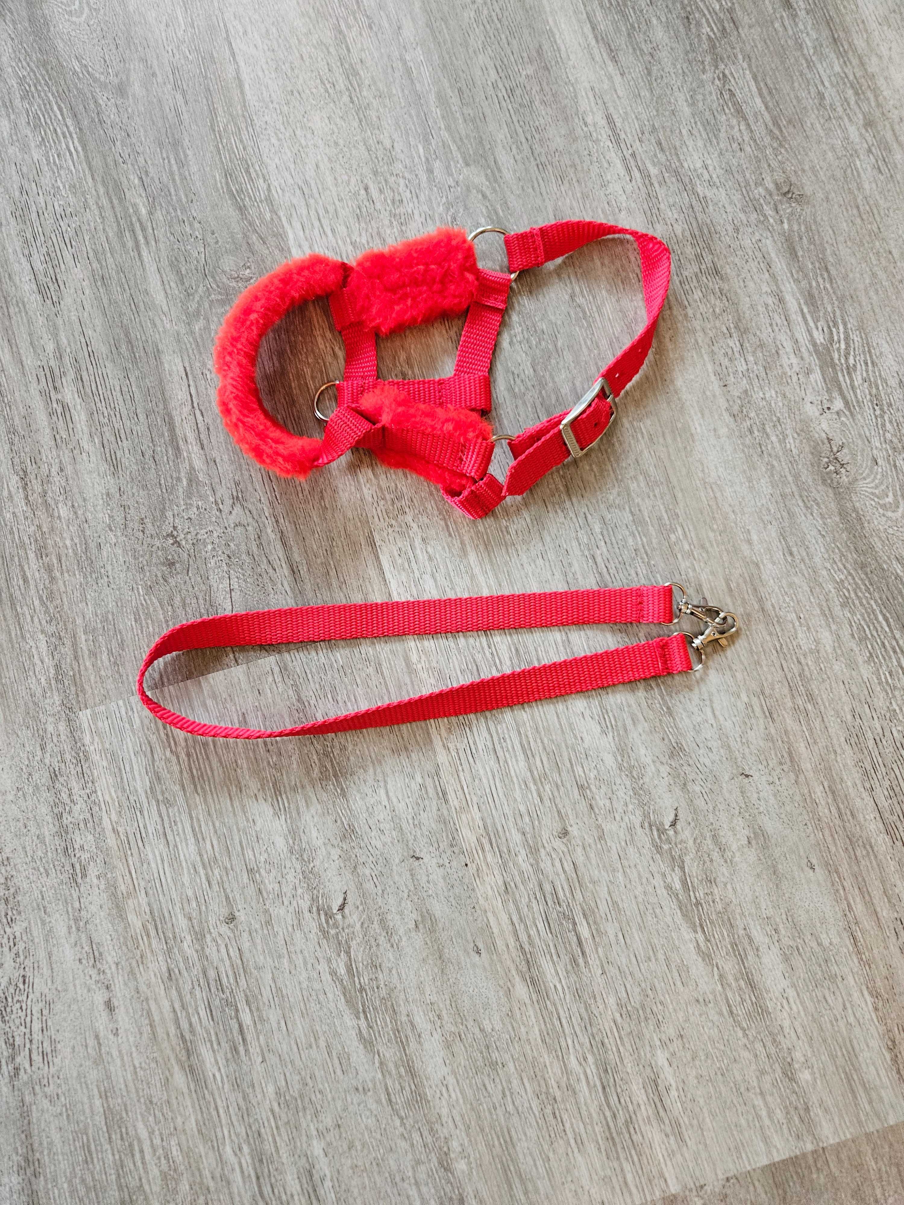 Koń -HOBBY HORSE wraz z akcesoriami