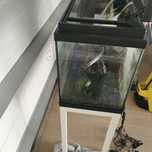 Aquario com suporte  de ferro lacado a branco