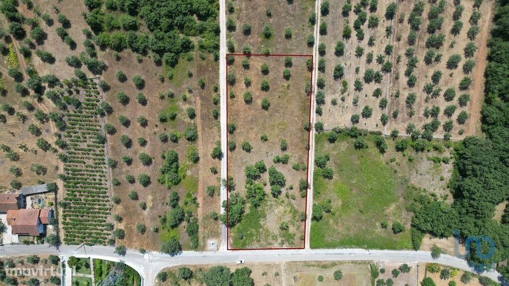 Terreno para construção em Chão de Couce