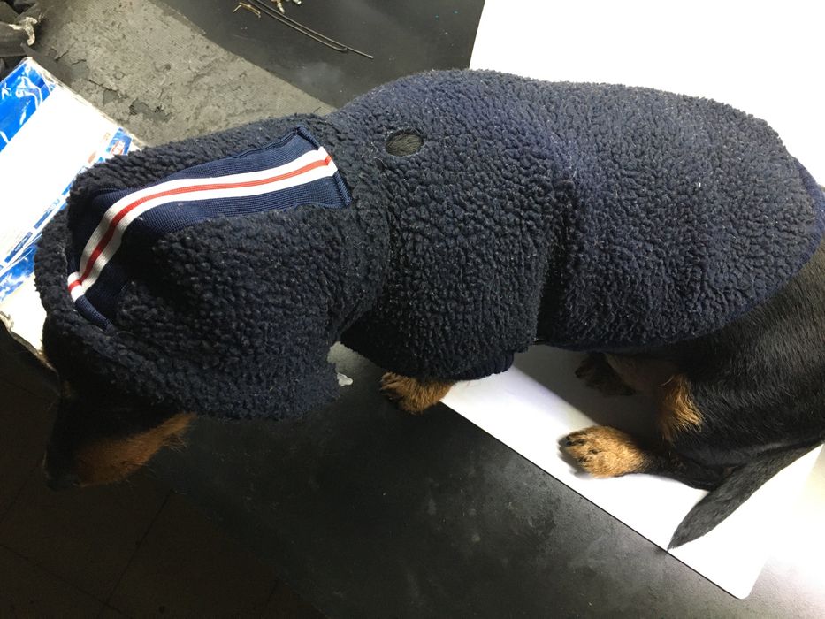 Camisola Trixie de cão modelo Assisi S