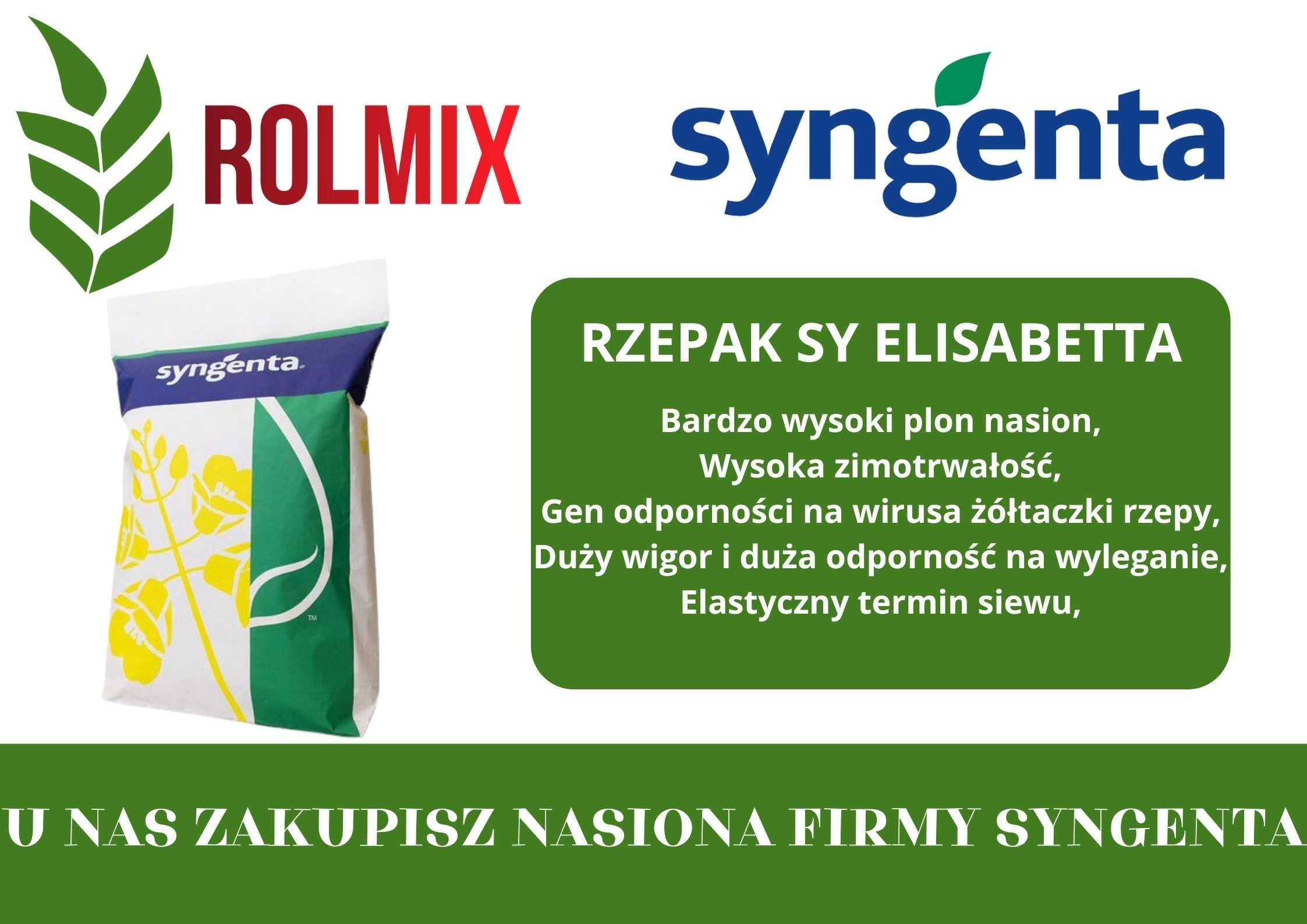 Rzepak ozimy SY ELISABETTA Materiał kwalifikowany