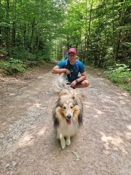 Trening psów. Szkolenie psów. Psie Przedszkole, trener Kraków