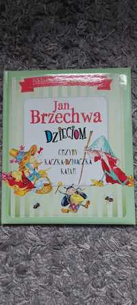 Książka Jan Brzechwa Dzieciom  "Kaczka  Dziwaczka"inne Nowa