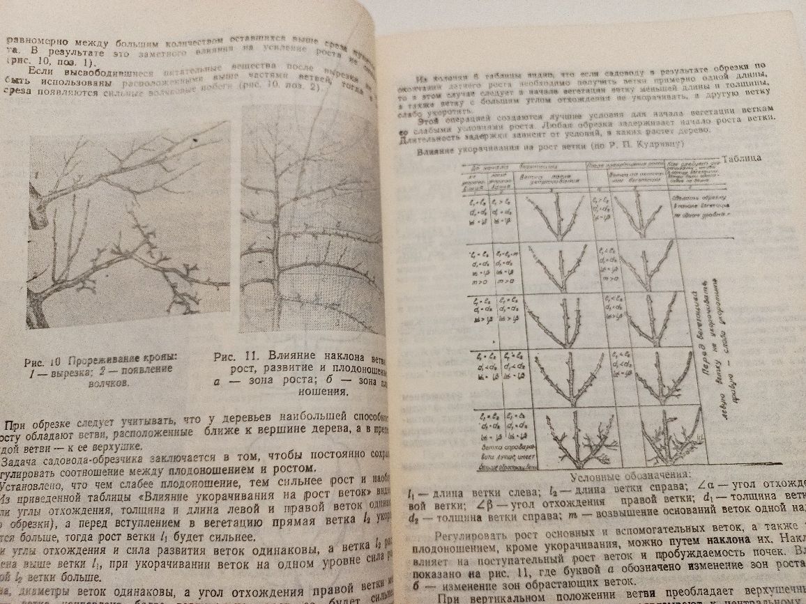 ...Формирование и обрезка плодовых растений 1991г. Д.И.Богачев