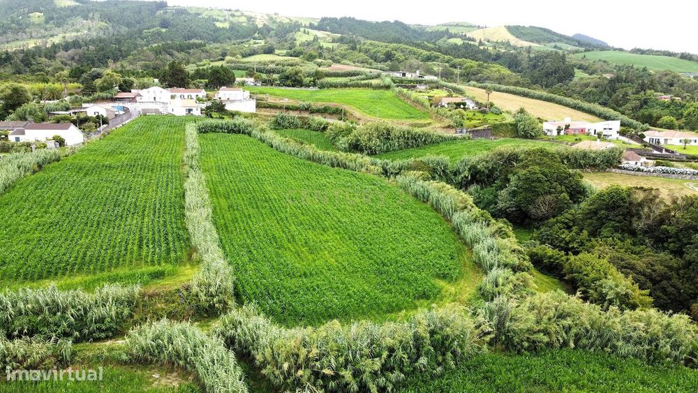 Terreno com Viabilidade de Construção, nos Ginetes