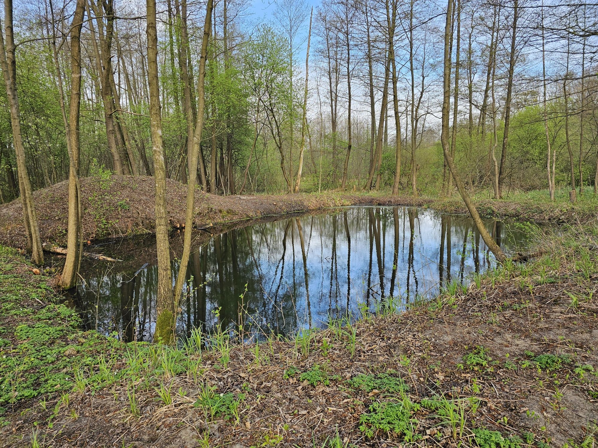 Sprzedam działkę Kaczków z WZ , 50km W-wa , 5 km Mszczonów, Okazja