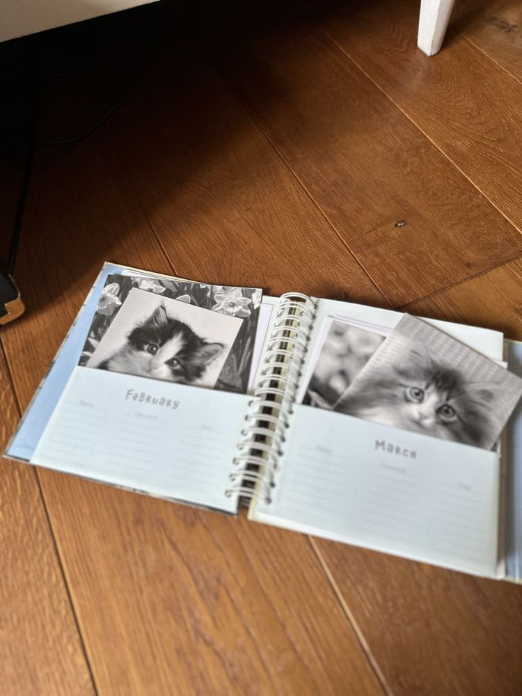 Papeteria Album Segregator Koty Kartki Okolicznościowe Koperty