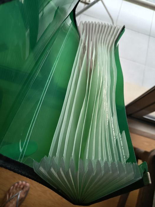 Pasta arquivo, verde com doze separadores