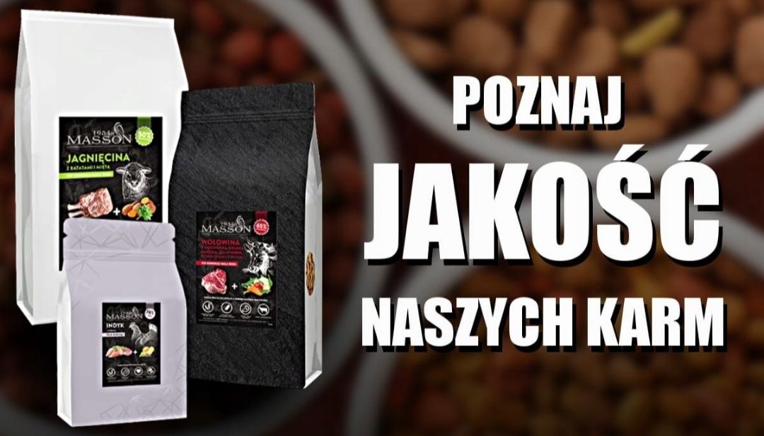 Karma Hypoalergiczna MASSON z Bawołem 2kg